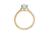 AG.02