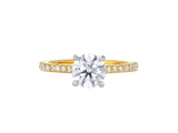 AG.02