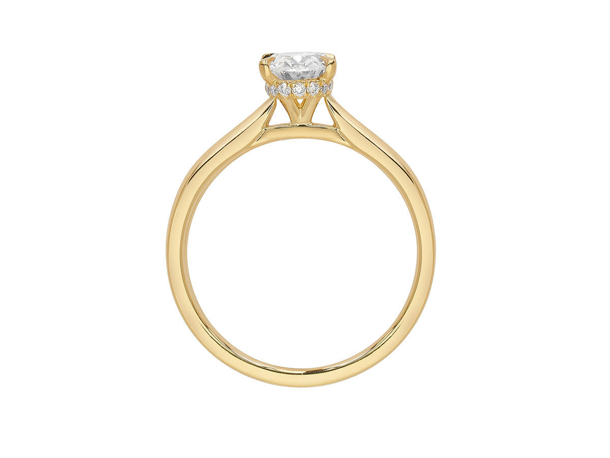 1ct Oval Cut Diamond Hidden Halo