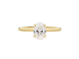 1ct Oval Cut Diamond Hidden Halo
