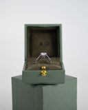 3ct Cushion Cut Engagement Ring