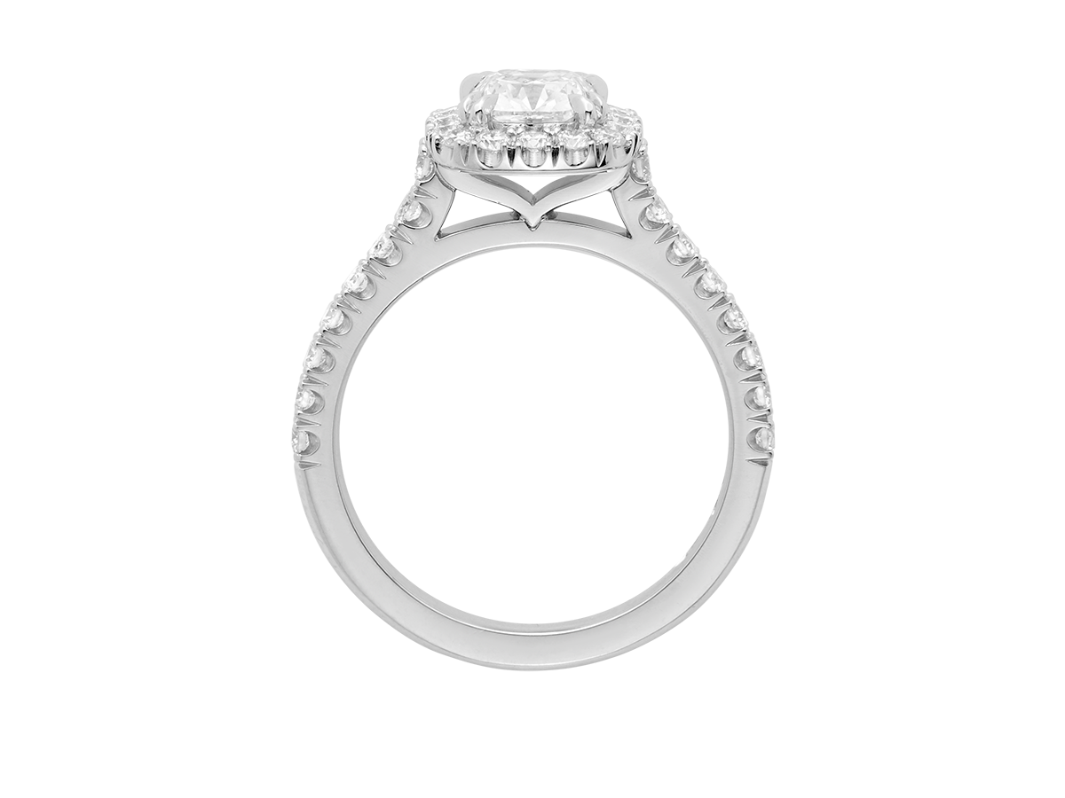 A.G cushion cu diamond halo setting with split bead half diamond band.