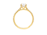 Oval Cut Diamond Hidden Halo