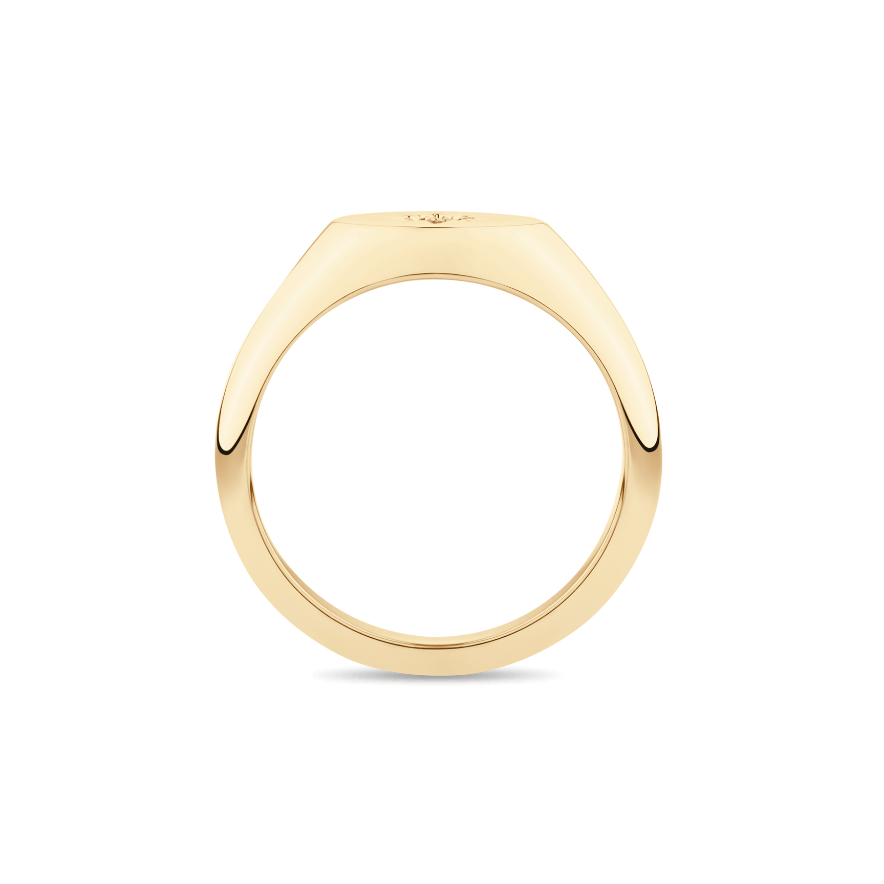 Star Diamond Signet Ring