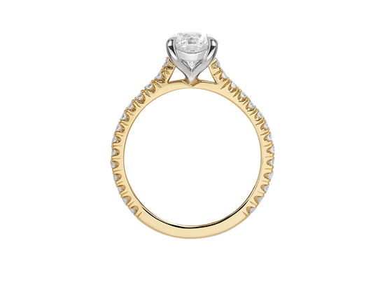 AG.02 | Round Brilliant Cut Diamond With Diamond Band