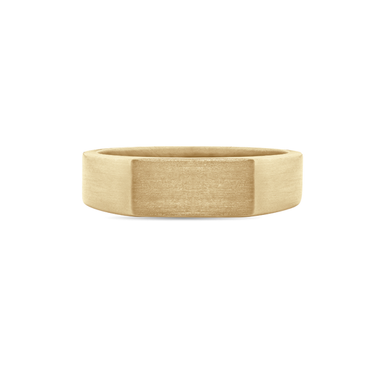 Polished Unisex Signet Ring in 9ct Gold