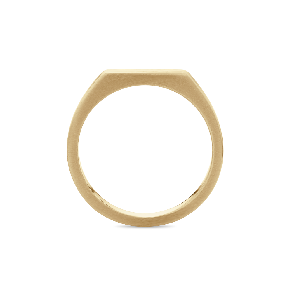 Polished Unisex Signet Ring in 9ct Gold