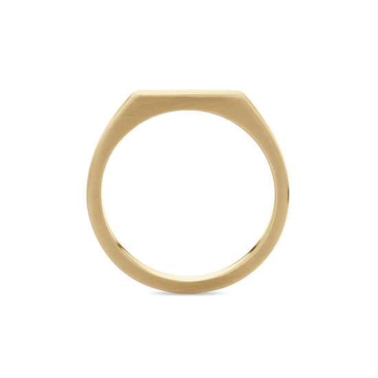 Polished Unisex Signet Ring in 9ct Gold