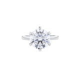 5.01 Round Brilliant Cut Diamond