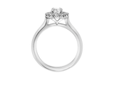 Front of A.G oval cut diamond halo setting with half round band.