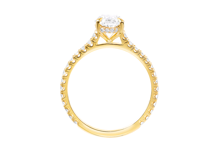 Oval Cut Diamond Hidden Halo Engagement Ring